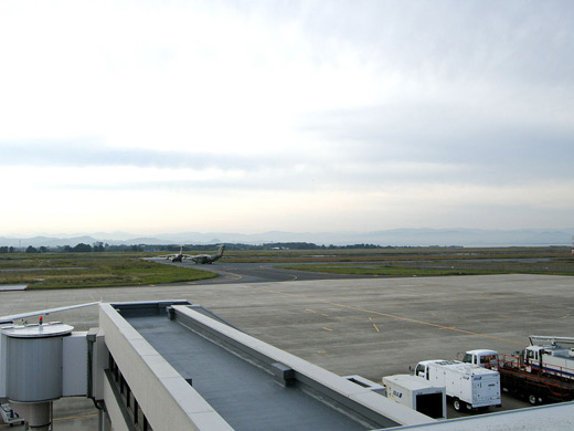Miho Airport
