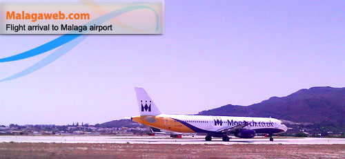 Photo of a plane landing at Malaga airport