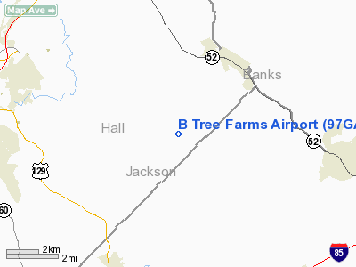 B Tree Farms Airport picture