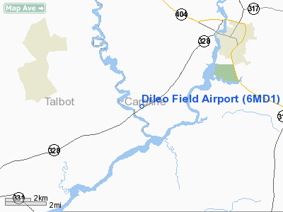 Dileo Field Airport picture