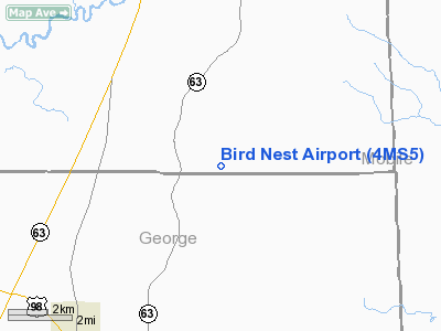 Bird Nest Airport picture