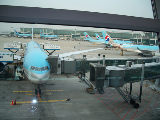 
Korean Air planes awaiting departure