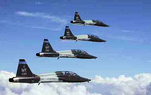 
T-38Bs of the 479th Flying Training Group in formation