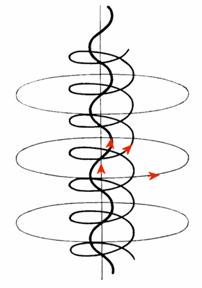 
The complex self-constricting magnetic field lines and current paths in a field-aligned Birkeland current which may develop in a plasma.