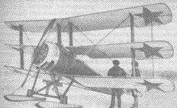
Russian Triplane equipped with skis
