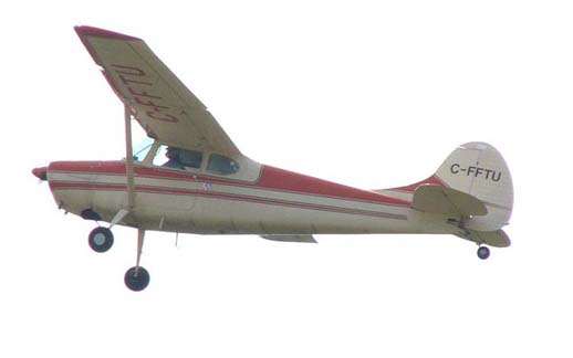 
Cessna 170B in flight