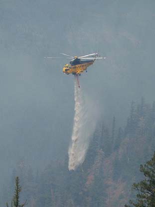 
A Carson Helicopters Fire King drops on the 2007 WSA Lightning Complex fire.