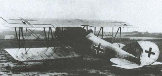 
Captured Pfalz D.XII (serial 1970/18) in Canada after the war