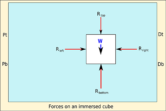 Forces on an immersed cube