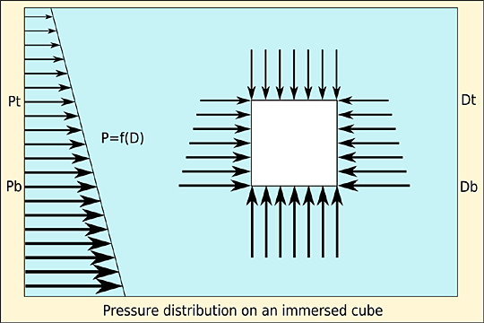 Pressure distribution on an immersed cube