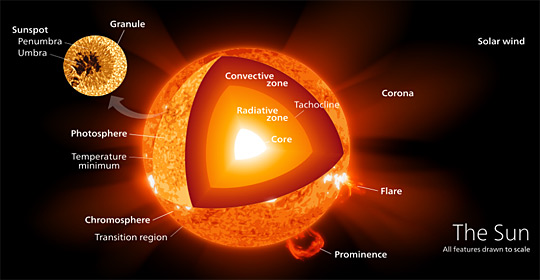 An illustration of the structure of the Sun 