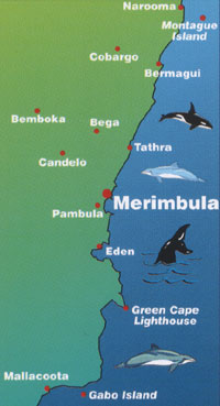 Merimbula Air Services