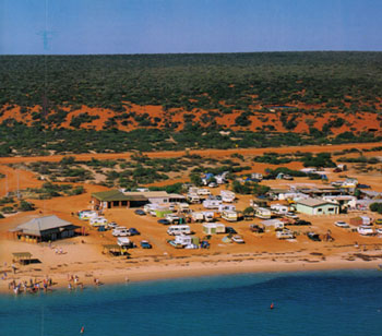 Shark Bay