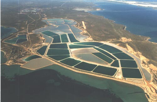 Useless Loop Airport