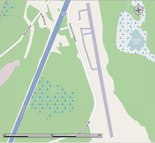 Map of the runway