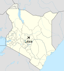 Lewa Airport