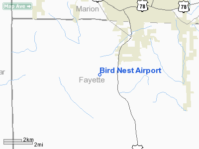 Bird Nest Airport