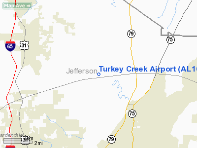 Turkey Creek Airport picture