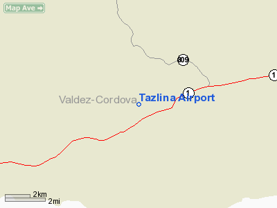 Tazlina Airport  picture
