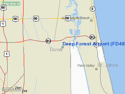 Deep Forest Airport picture