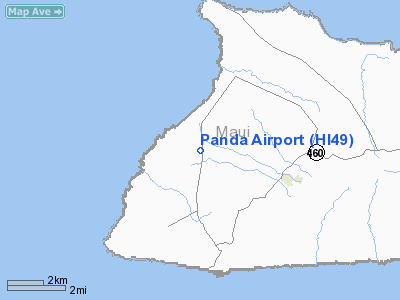 Panda Airport picture