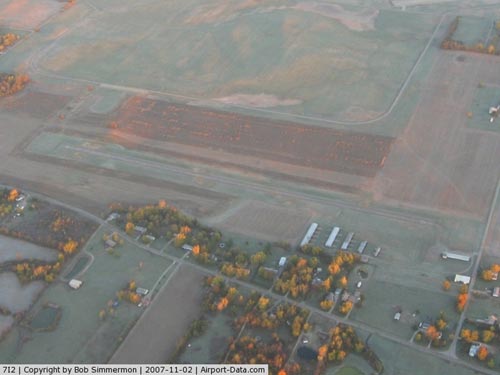 Reese Airport picture