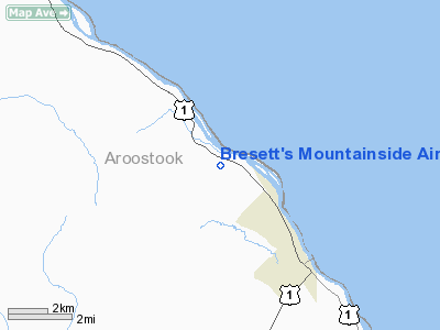 Bresett's Mountainside Airport picture