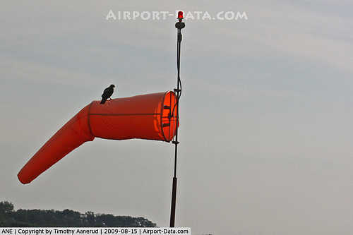 Anoka County - Blaine Arpt(Janes Field) Airport picture