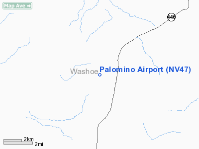 Palomino Airport picture