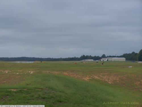 Harnett Rgnl Jetport Airport picture