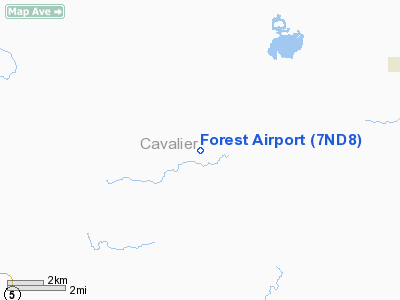 Forest Airport picture