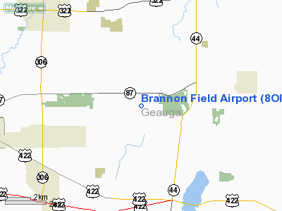 Brannon Field Airport picture