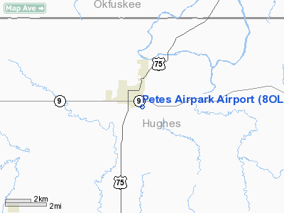 Petes Airpark Airport picture