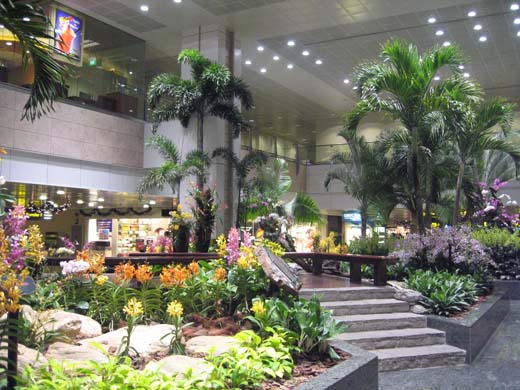 
Extensive foliage in Terminal 2 provides relaxation for passengers in the transit area.