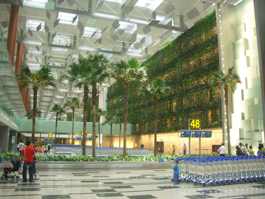 
Baggage collection point; the Green Wall (right) spans 300 m (980 ft) and comprises 25 species of climbing plants.