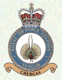 
RAF Tengah Crest Badge
