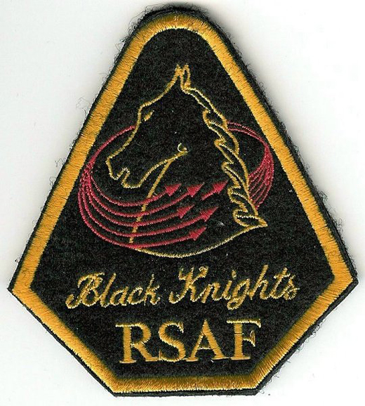 
Emblem of the RSAF Black Knights.
