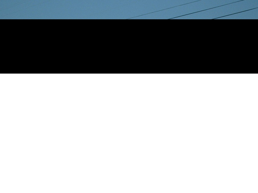 A Nittany Lion statue near the general aviation terminal.