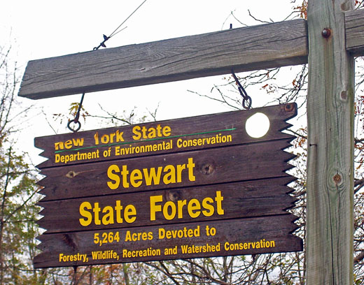 
NYSDEC Stewart State Forest sign at parking area on Route 207