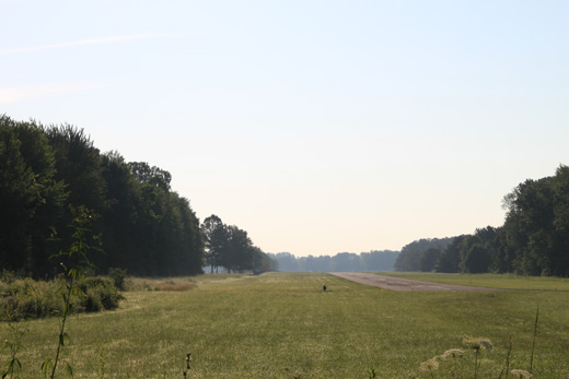 
Runway facing east from Whiteford Rd.