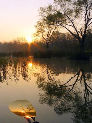 
Double reflection: The sun is reflected in the water, which is reflected in the paddle.