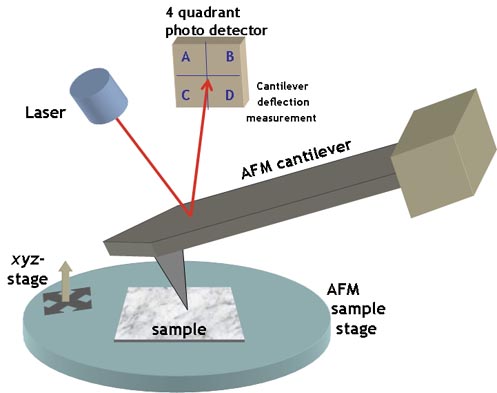 
Typical AFM setup. A microfabricated cantilever with a sharp tip is deflected by features on a sample surface, much like in a phonograph but on a much smaller scale. A laser beam reflects off the backside of the cantilever into a set of photodetectors, allowing the deflection to be measured and assembled into an image of the surface.