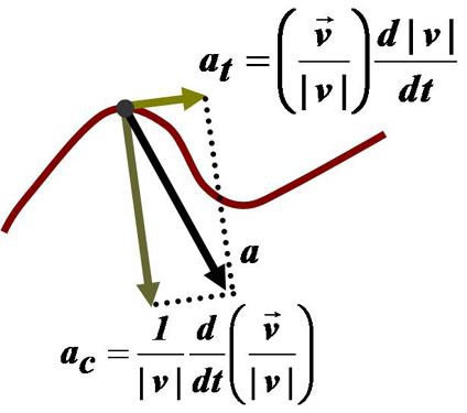 
Components of acceleration for a planar curved motion. The tangential component at is due to the change in speed of traversal, and points along the curve in the direction of the velocity vector. The centripetal component ac is due to the change in direction of the velocity vector and is normal to the trajectory, pointing toward the center of curvature of the path.