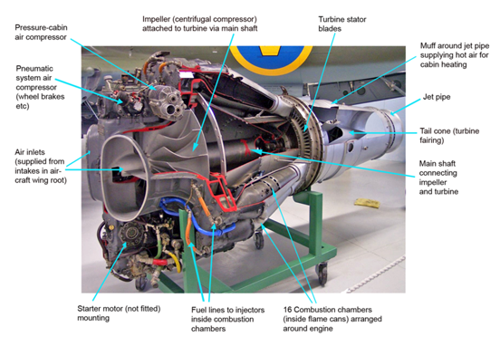 
A picture of an early centrifugal engine (DH Goblin II) sectioned to show its internal components