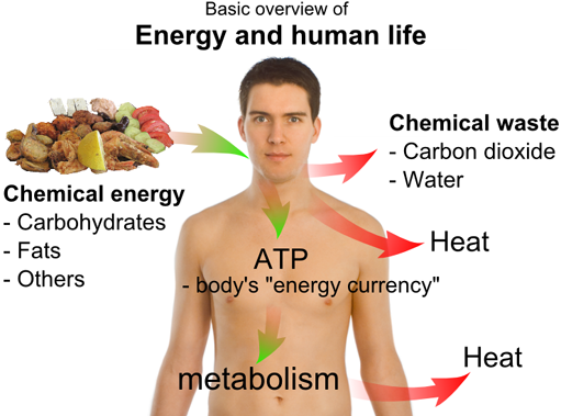 
Basic overview of energy and human life.