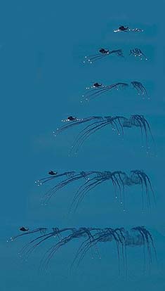 
Composite image of an RAF Merlin testing flares