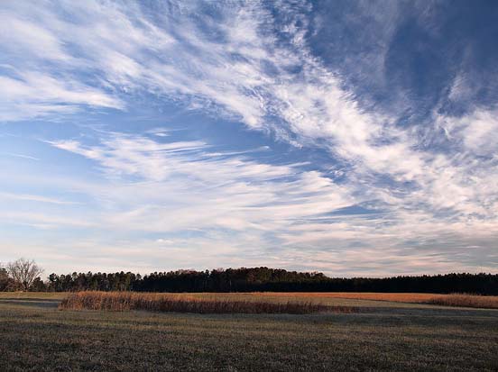 
Cirrus cloud formation