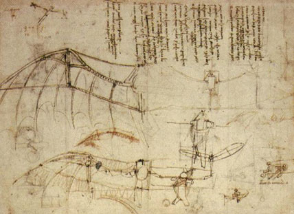 
Leonardo da Vinci's Ornithopter wings