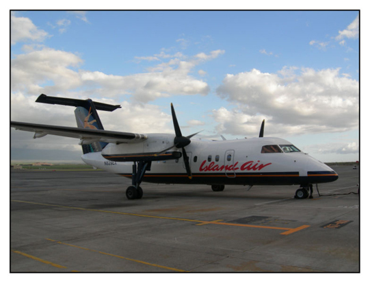
The De Havilland Dash 8-100.
