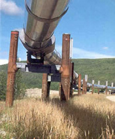 
An elevated section of the Alaska Pipeline.